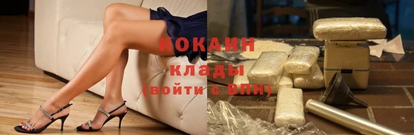 МДПВ Краснослободск