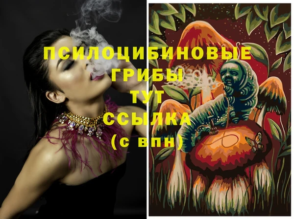 МДПВ Краснослободск